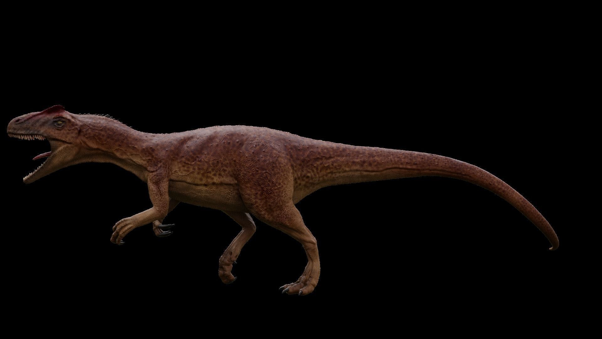 Allosaurus dinosaur Low-poly 3D model_4