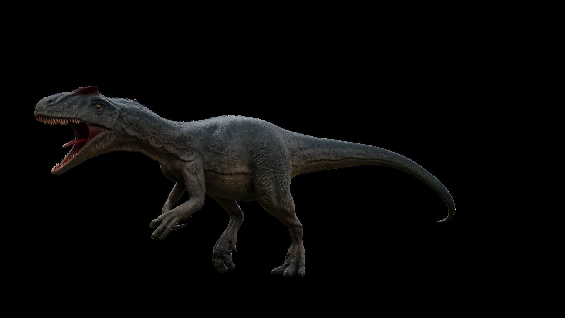 Allosaurus dinosaur Low-poly 3D model_7