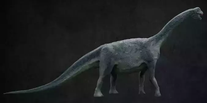 Camarasaurus dinosaur