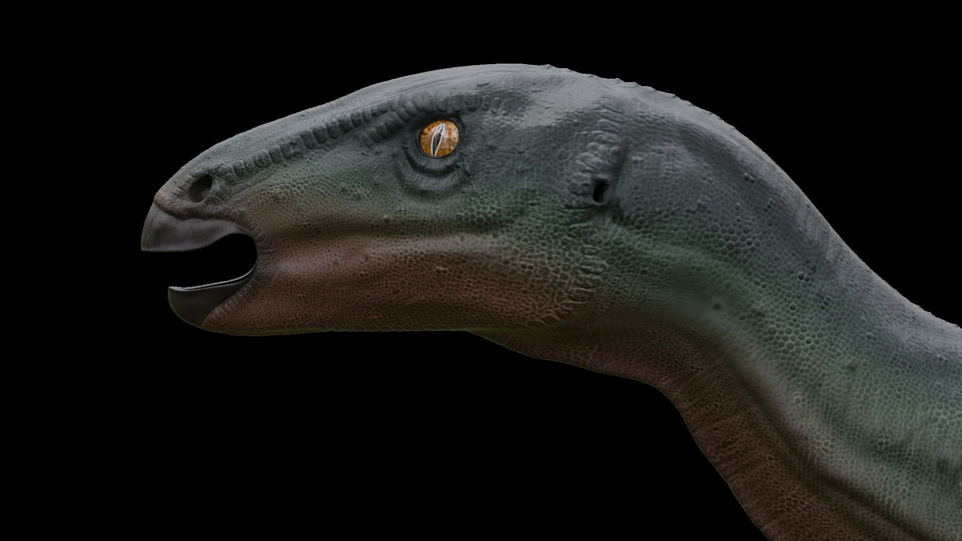 Camptosaurus dinosaur Low-poly 3D model_3