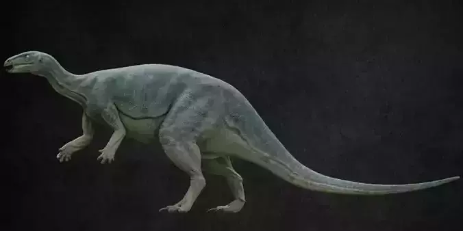 Camptosaurus dinosaur