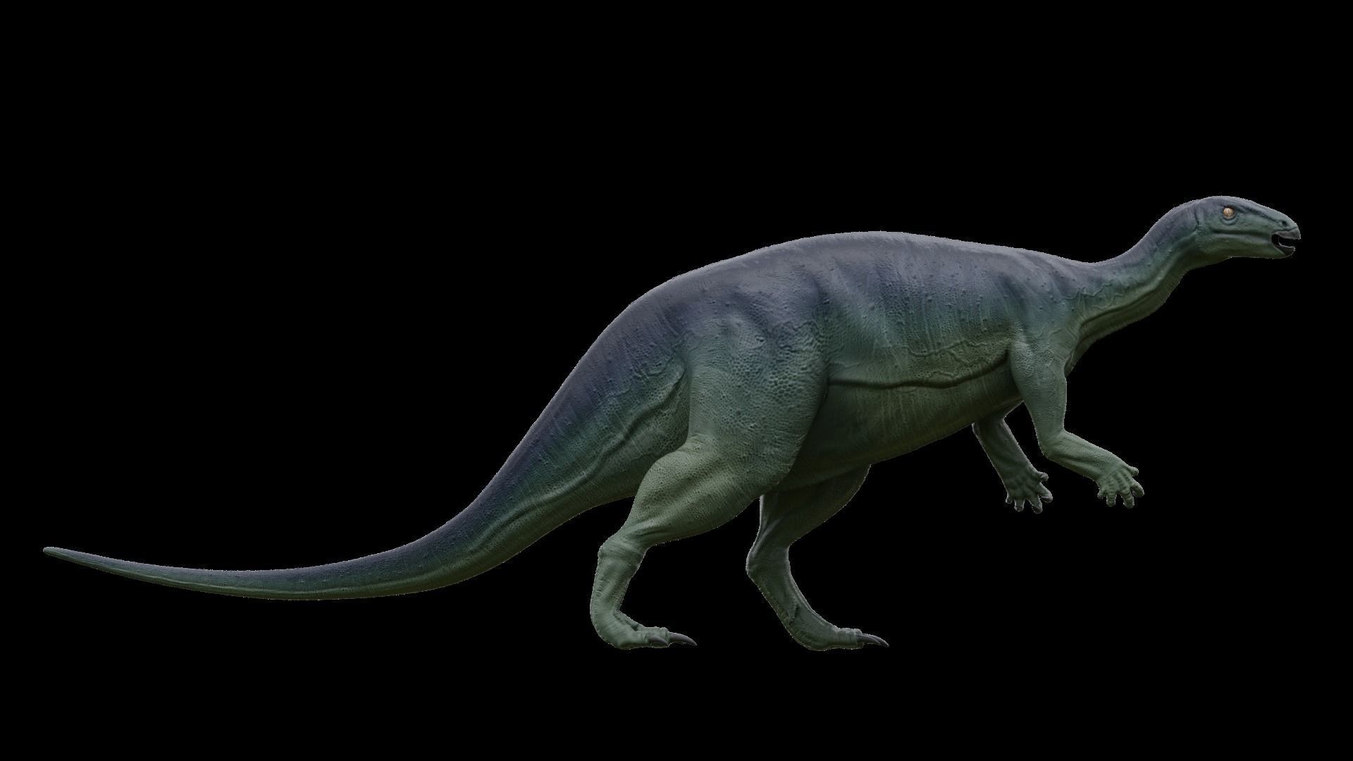 Camptosaurus dinosaur Low-poly 3D model_6