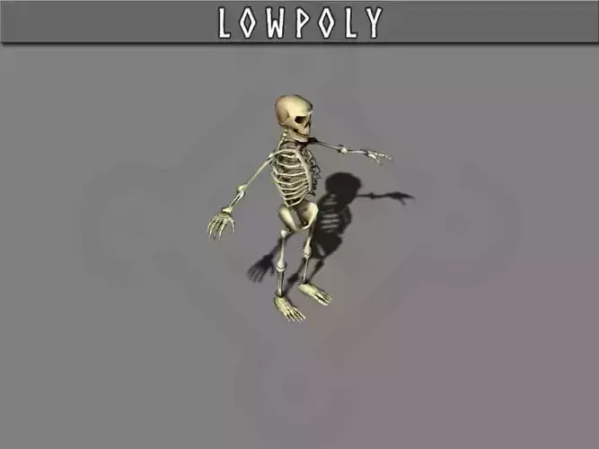 Skeleton Low-poly 3D model