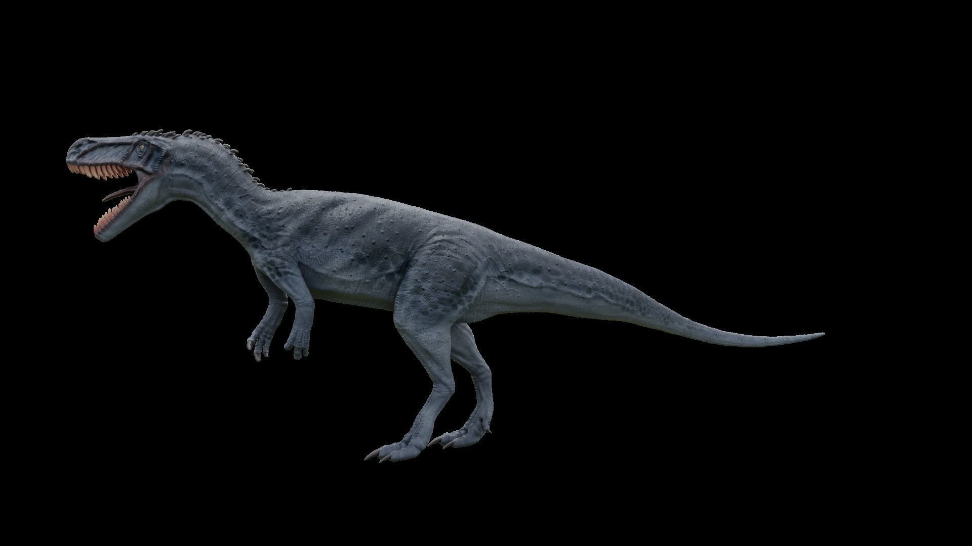 Torvosaurus t - rex Low-poly 3D model_2
