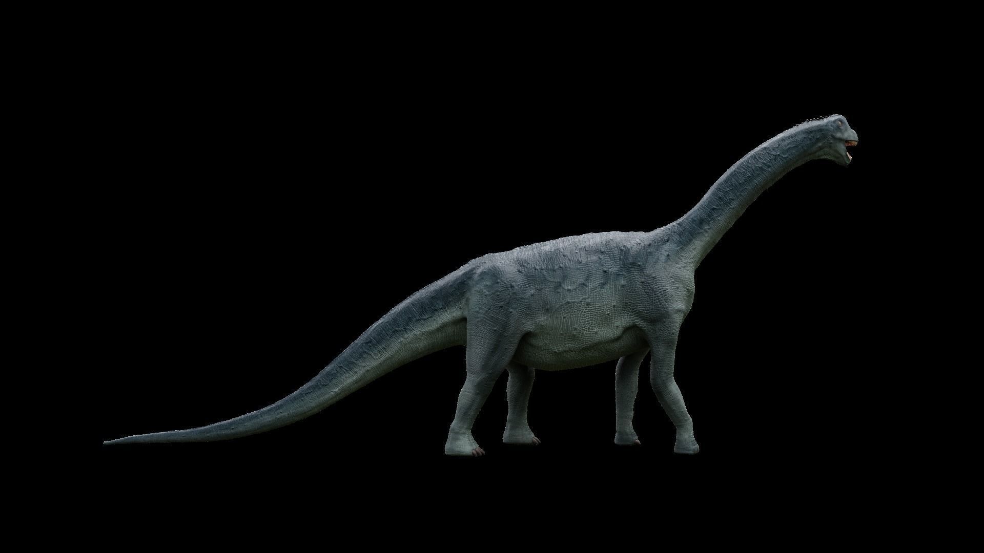 Jurassic Pack Low-poly 3D model_13