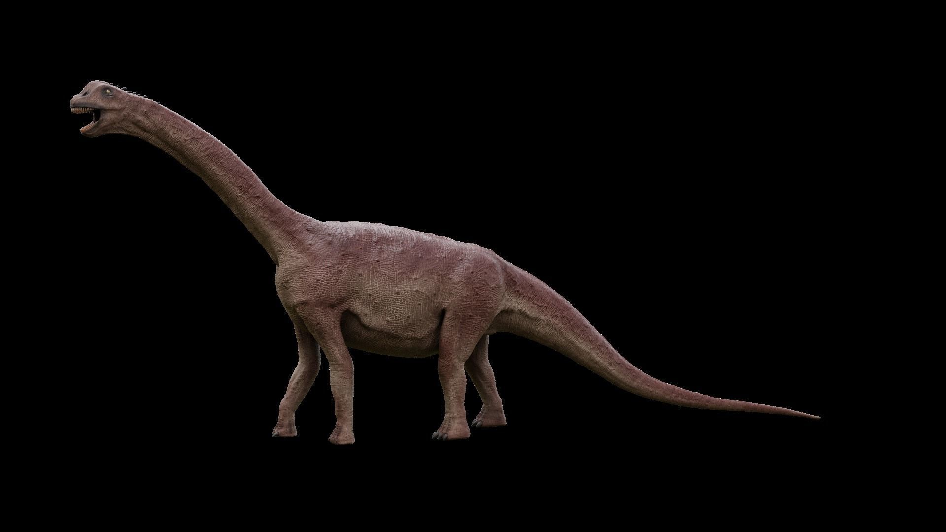 Jurassic Pack Low-poly 3D model_12