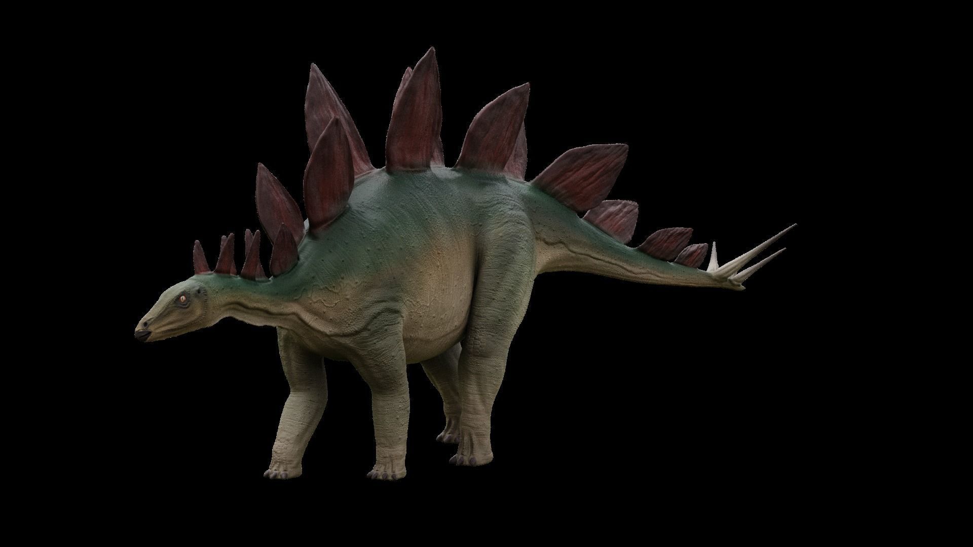 Jurassic Pack Low-poly 3D model_30