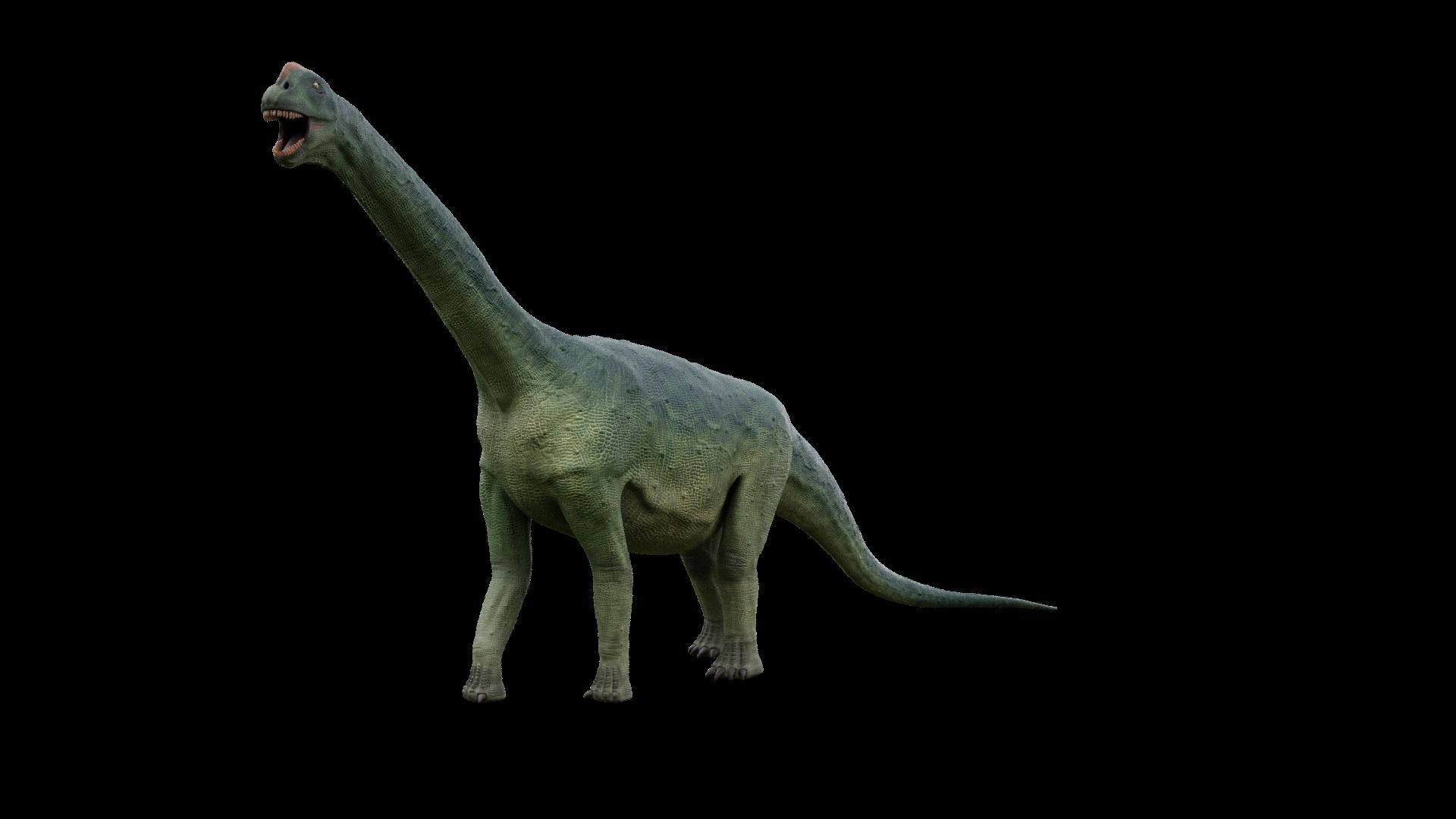 Jurassic Pack Low-poly 3D model_9