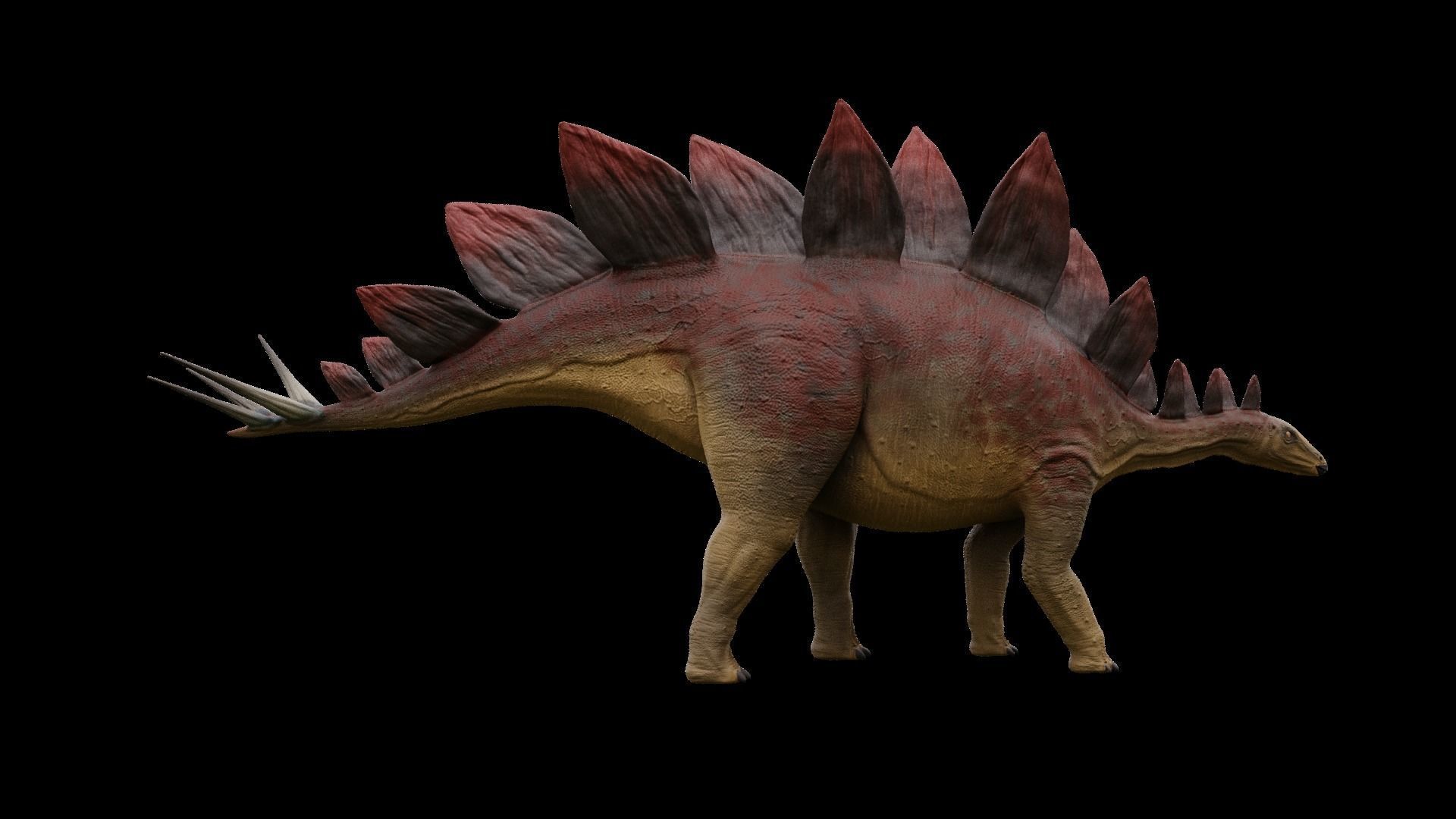 Jurassic Pack Low-poly 3D model_26