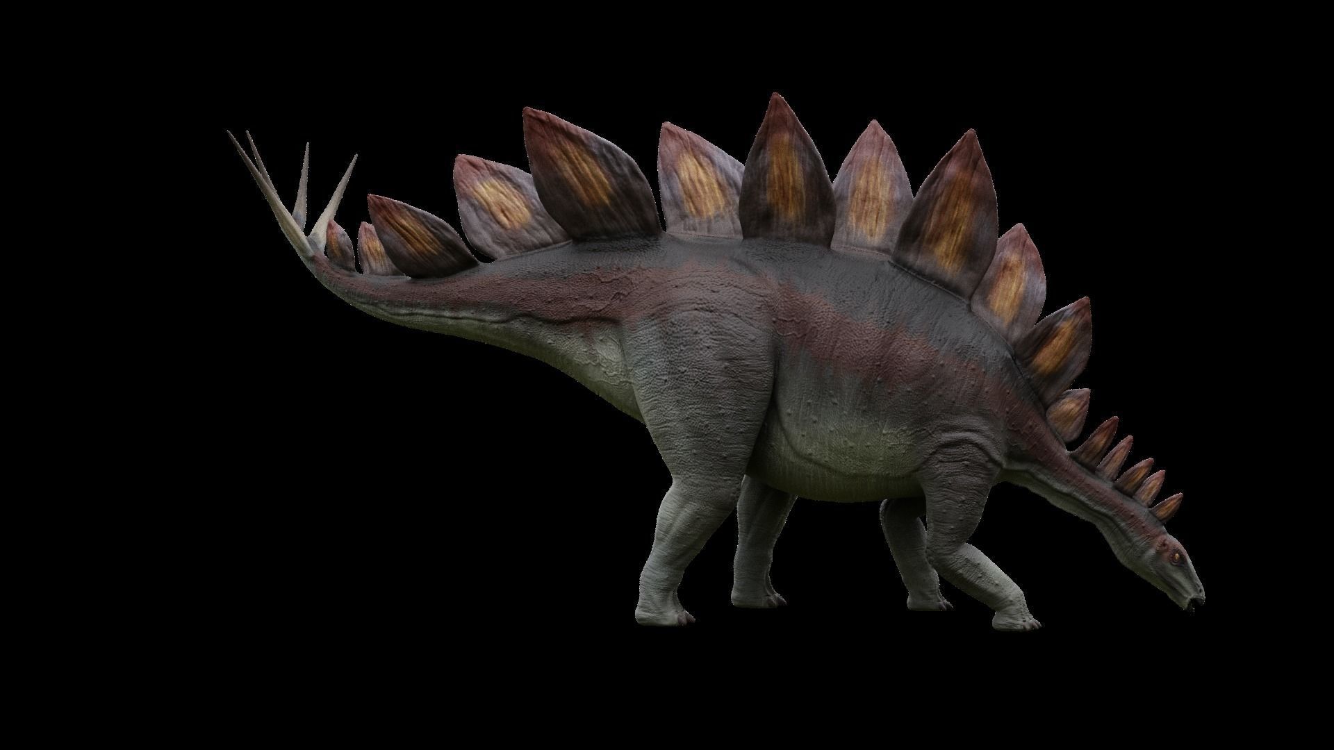 Jurassic Pack Low-poly 3D model_28