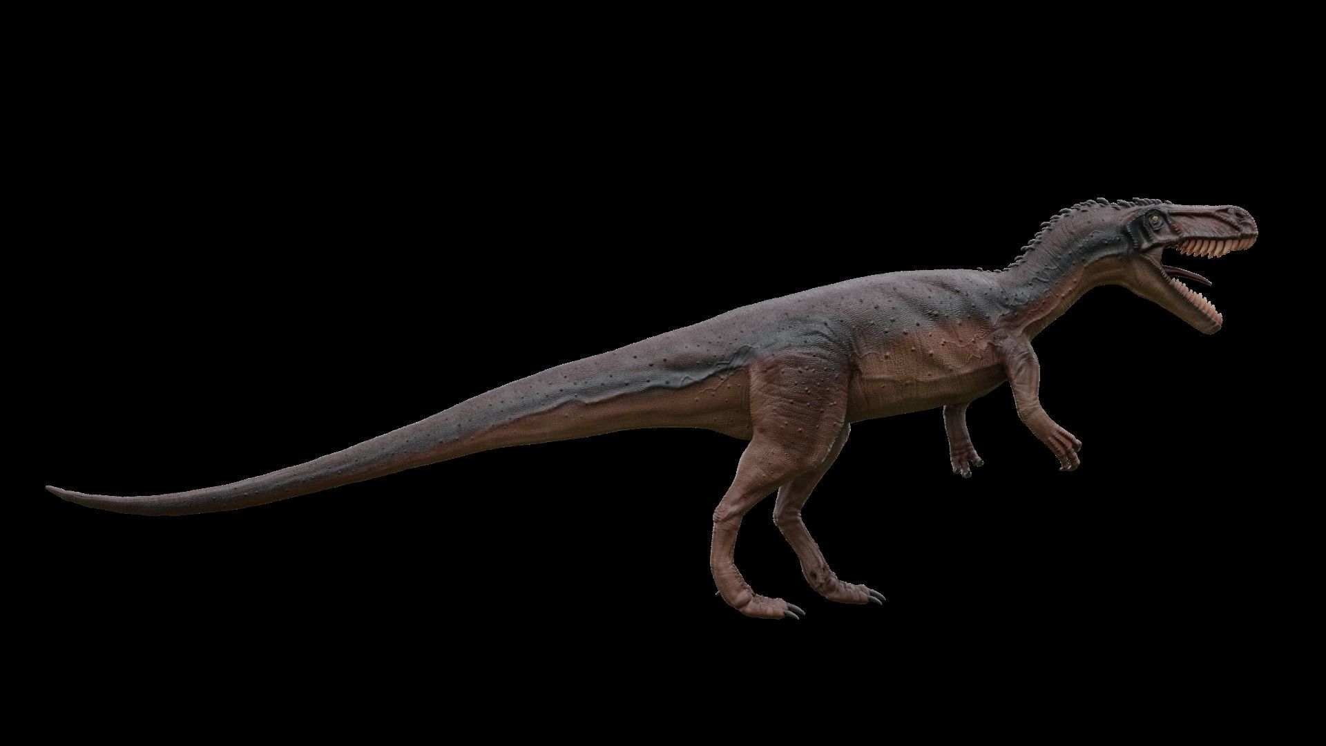 Jurassic Pack Low-poly 3D model_34