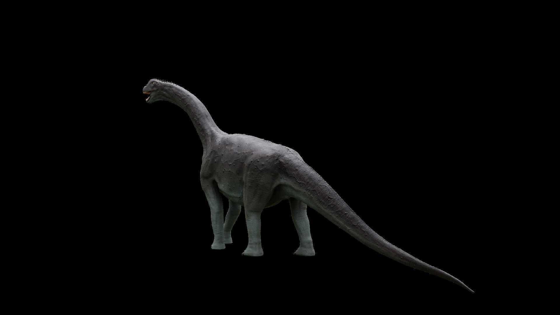Jurassic Pack Low-poly 3D model_10