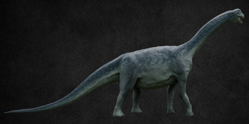 Jurassic Pack Low-poly 3D model_11