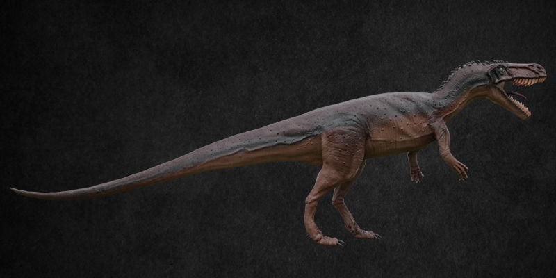 Jurassic Pack Low-poly 3D model_35