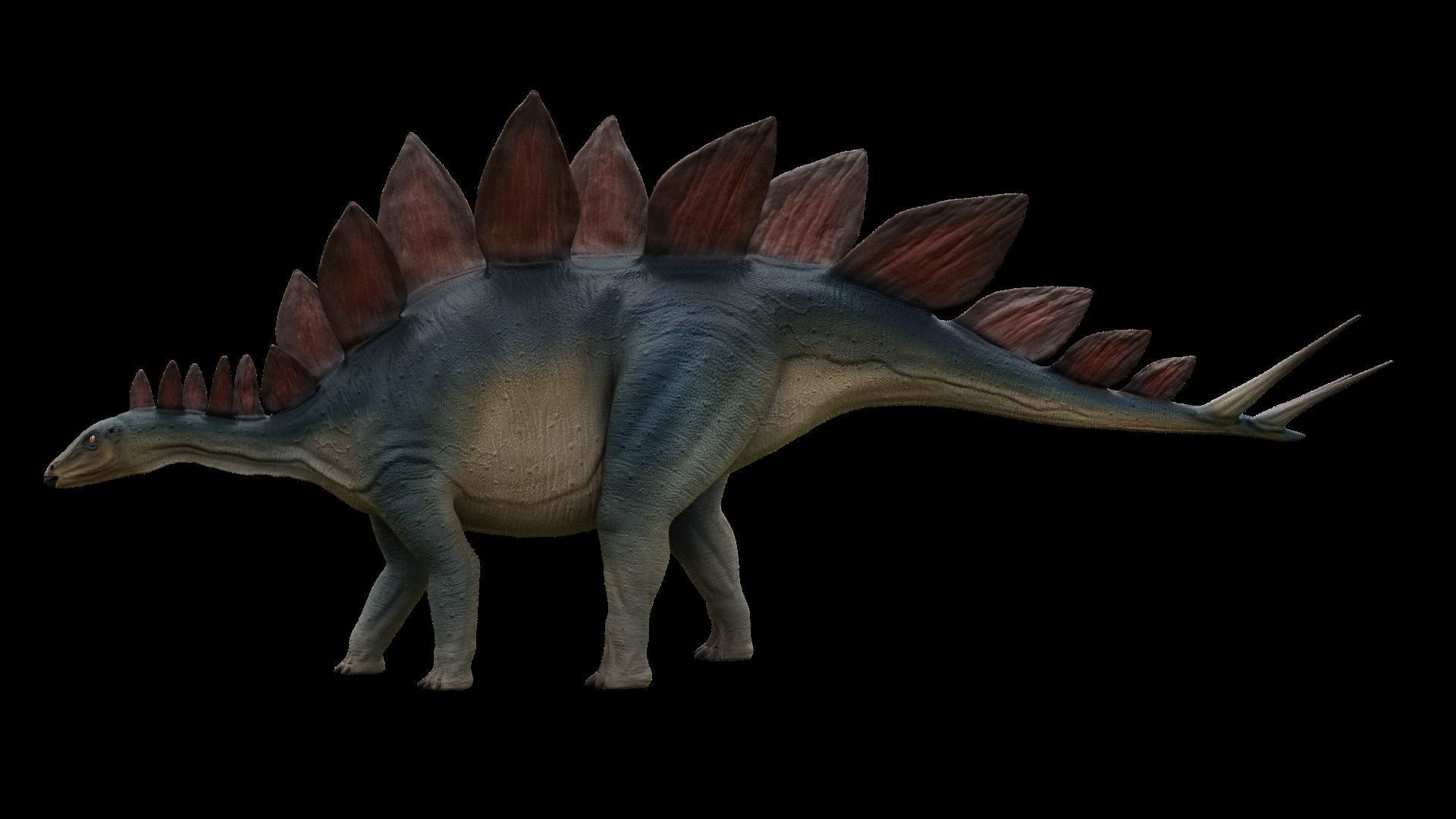 Jurassic Pack Low-poly 3D model_27