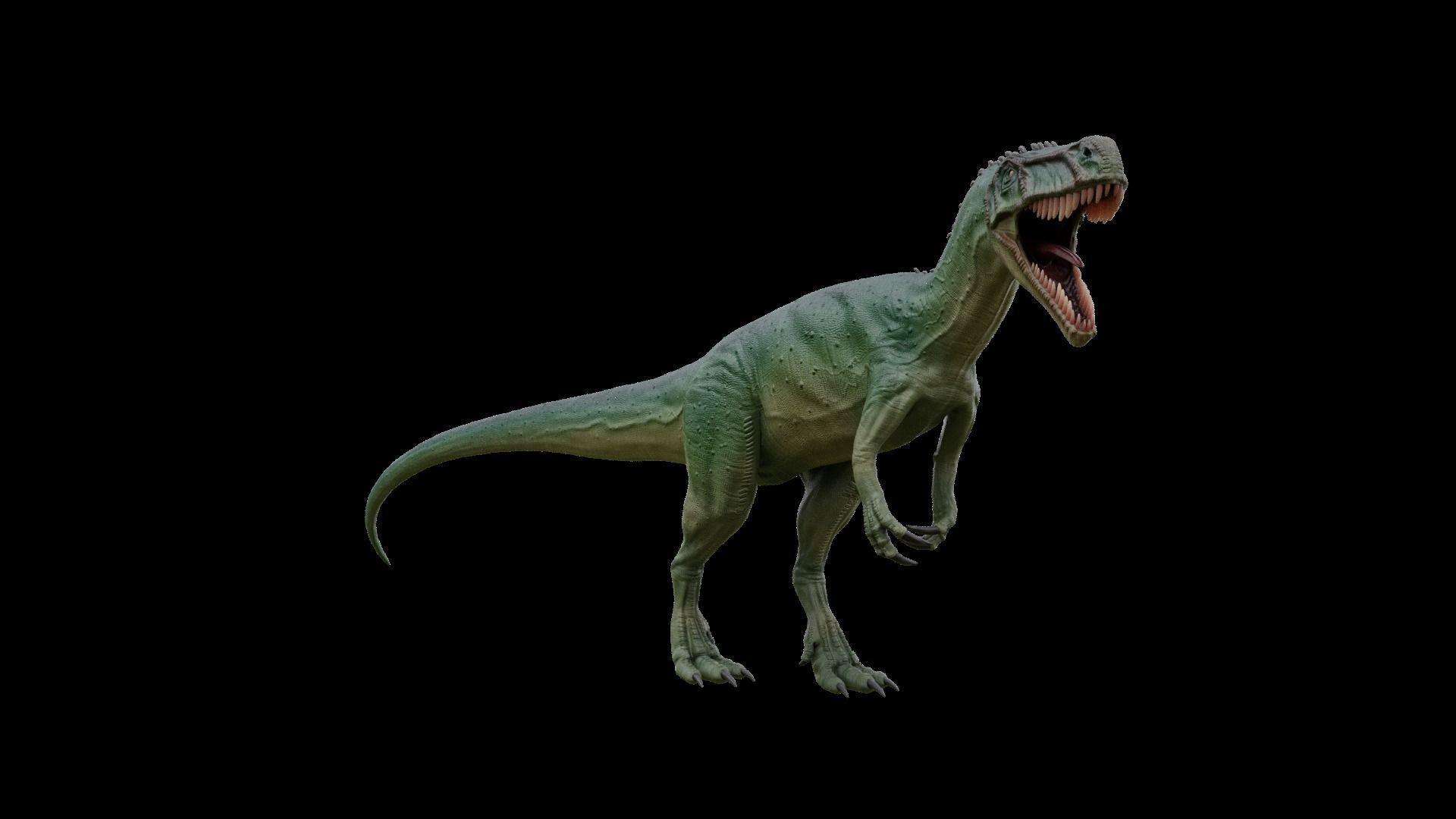 Jurassic Pack Low-poly 3D model_36