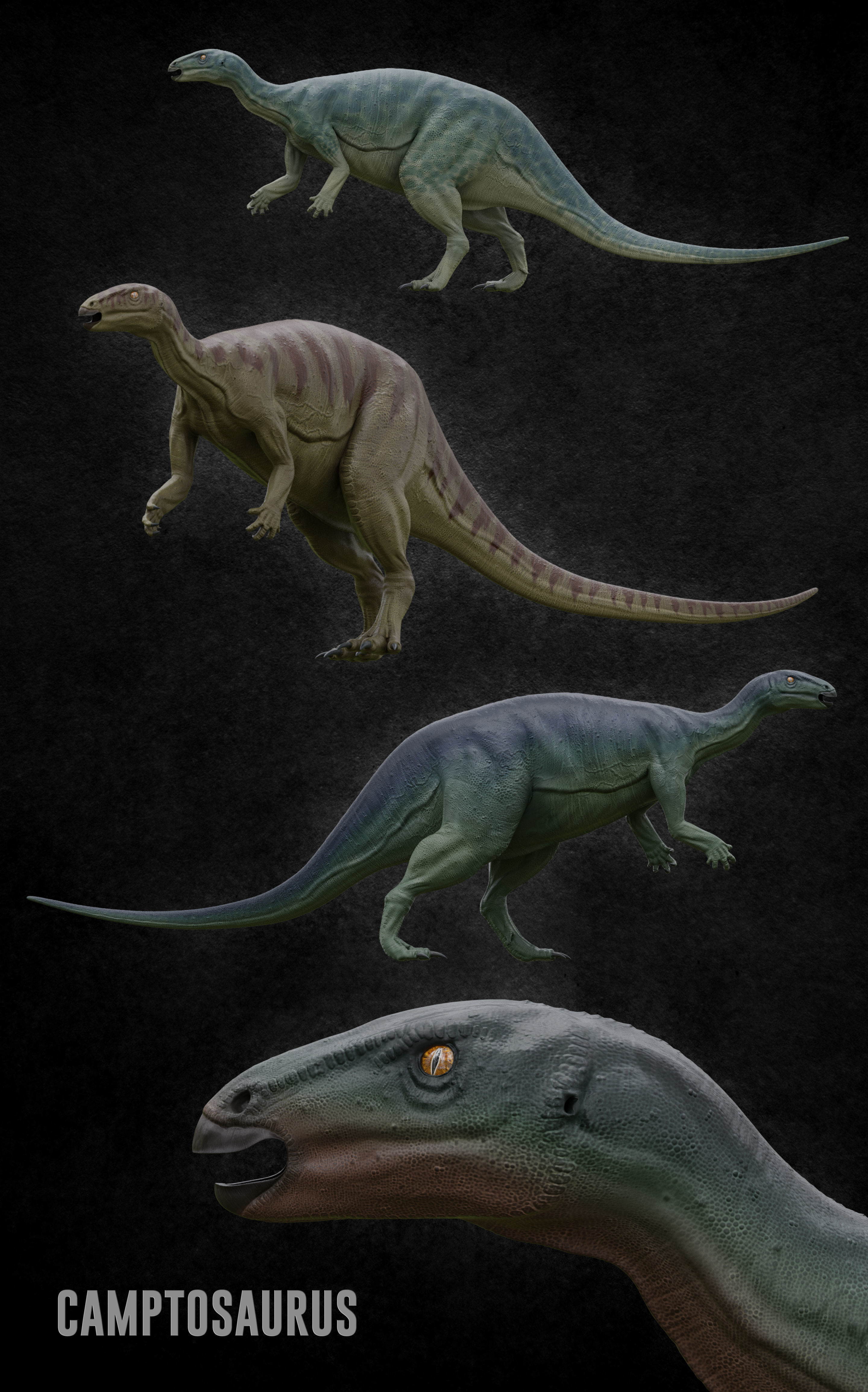 Jurassic Pack Low-poly 3D model_24