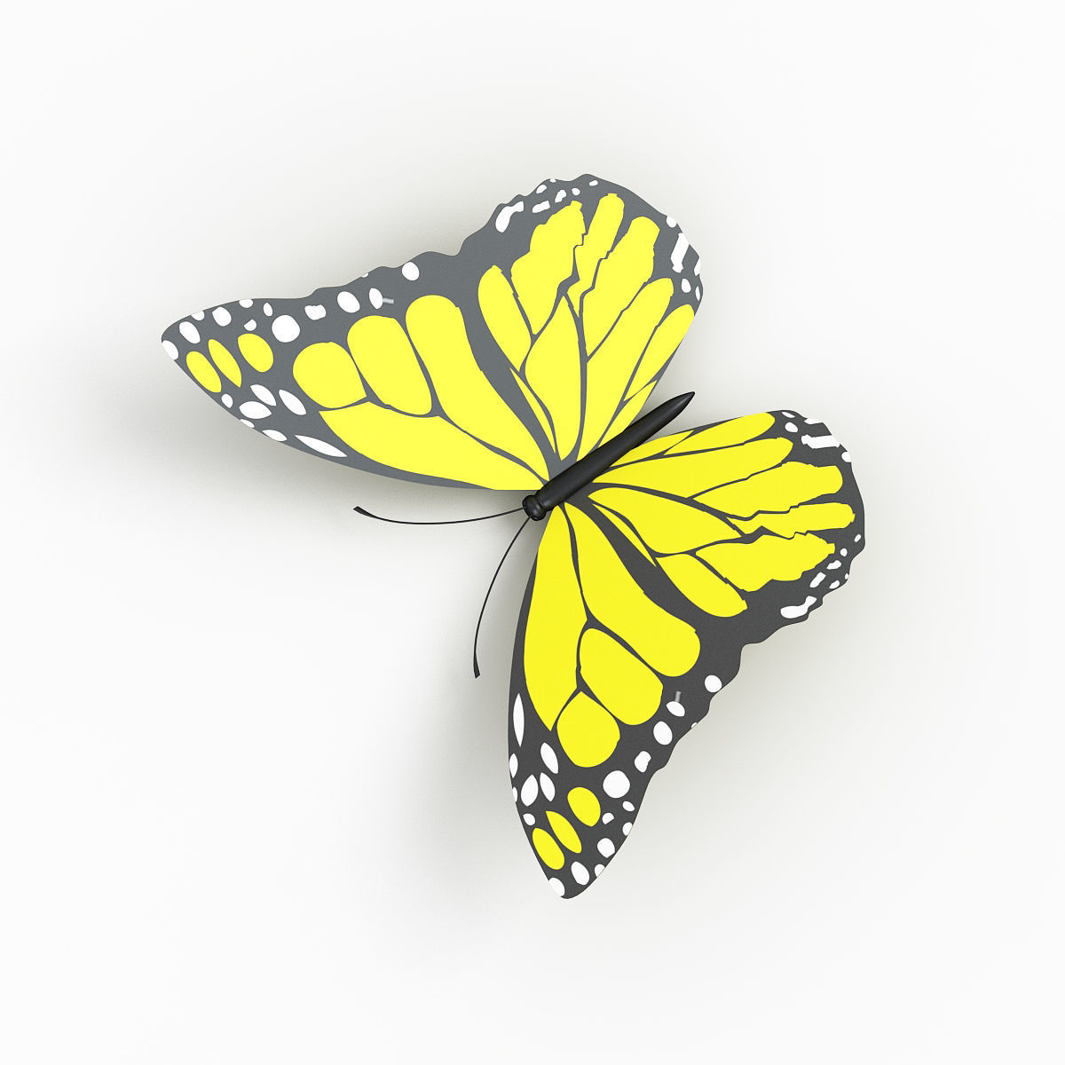 Butterfly 3D model_2