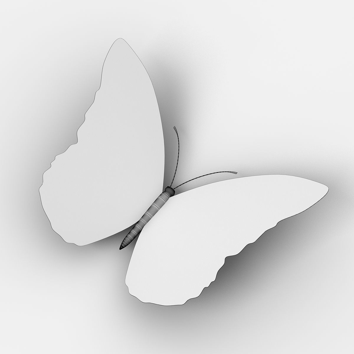 Butterfly 3D model_5