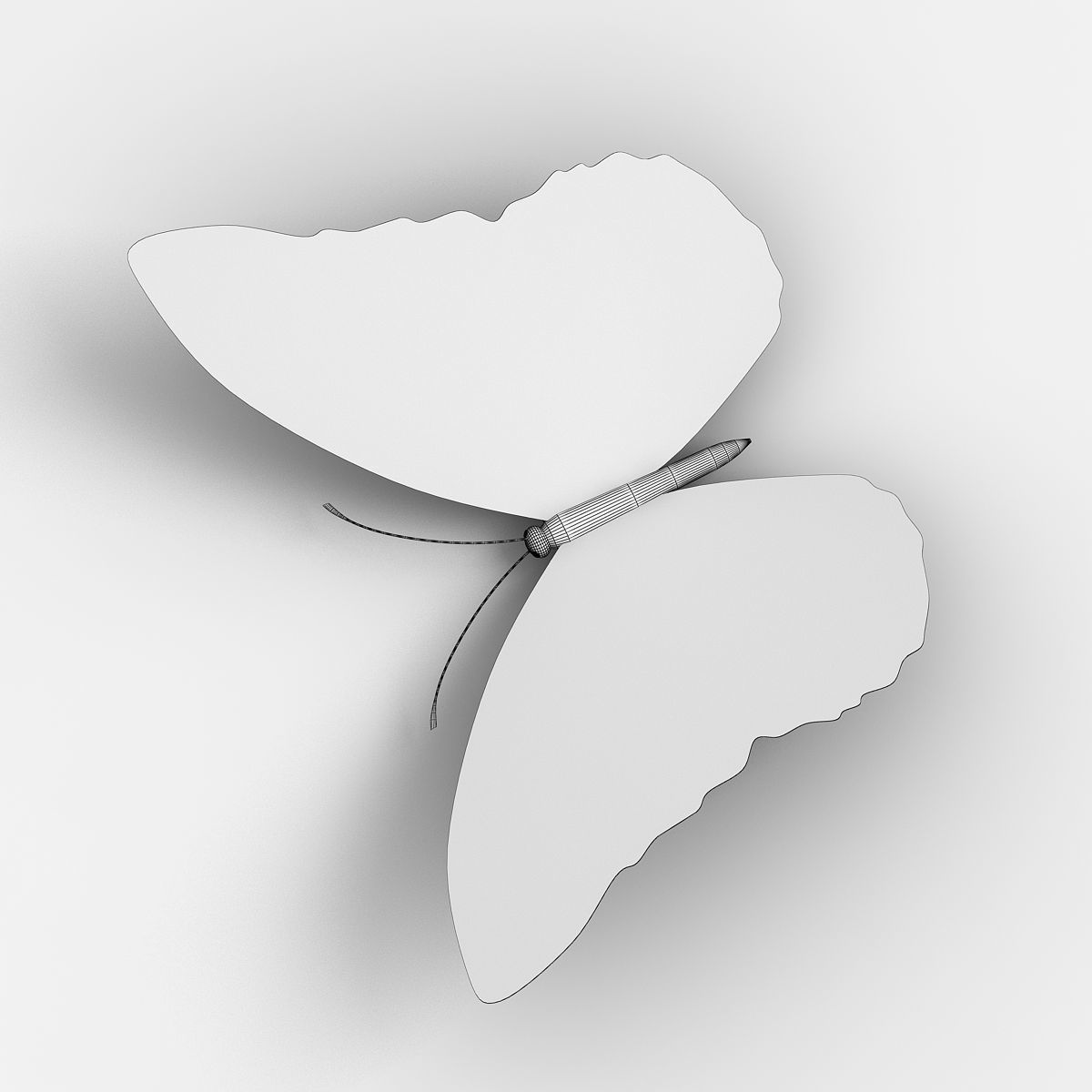 Butterfly 3D model_4