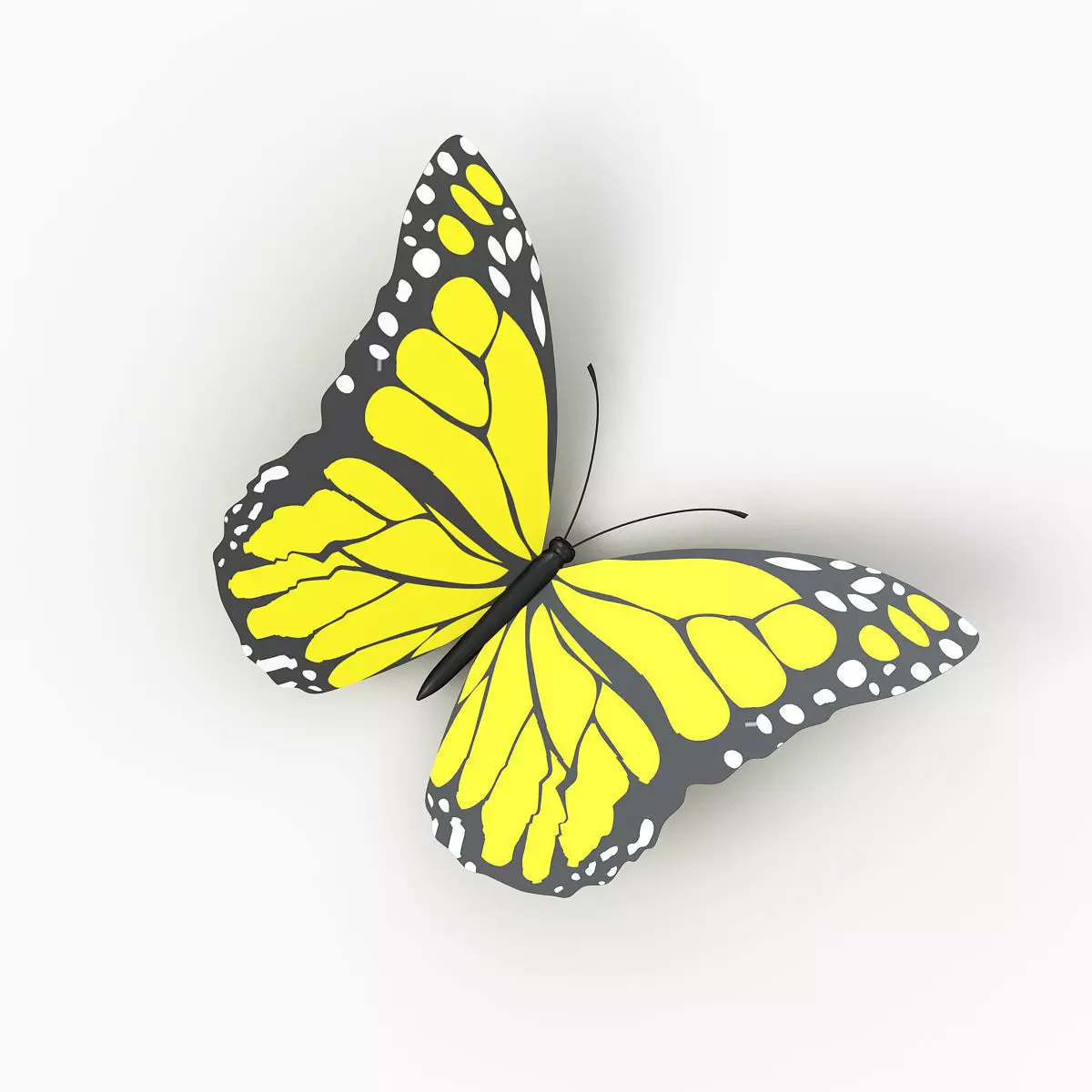 Butterfly 3D model_0