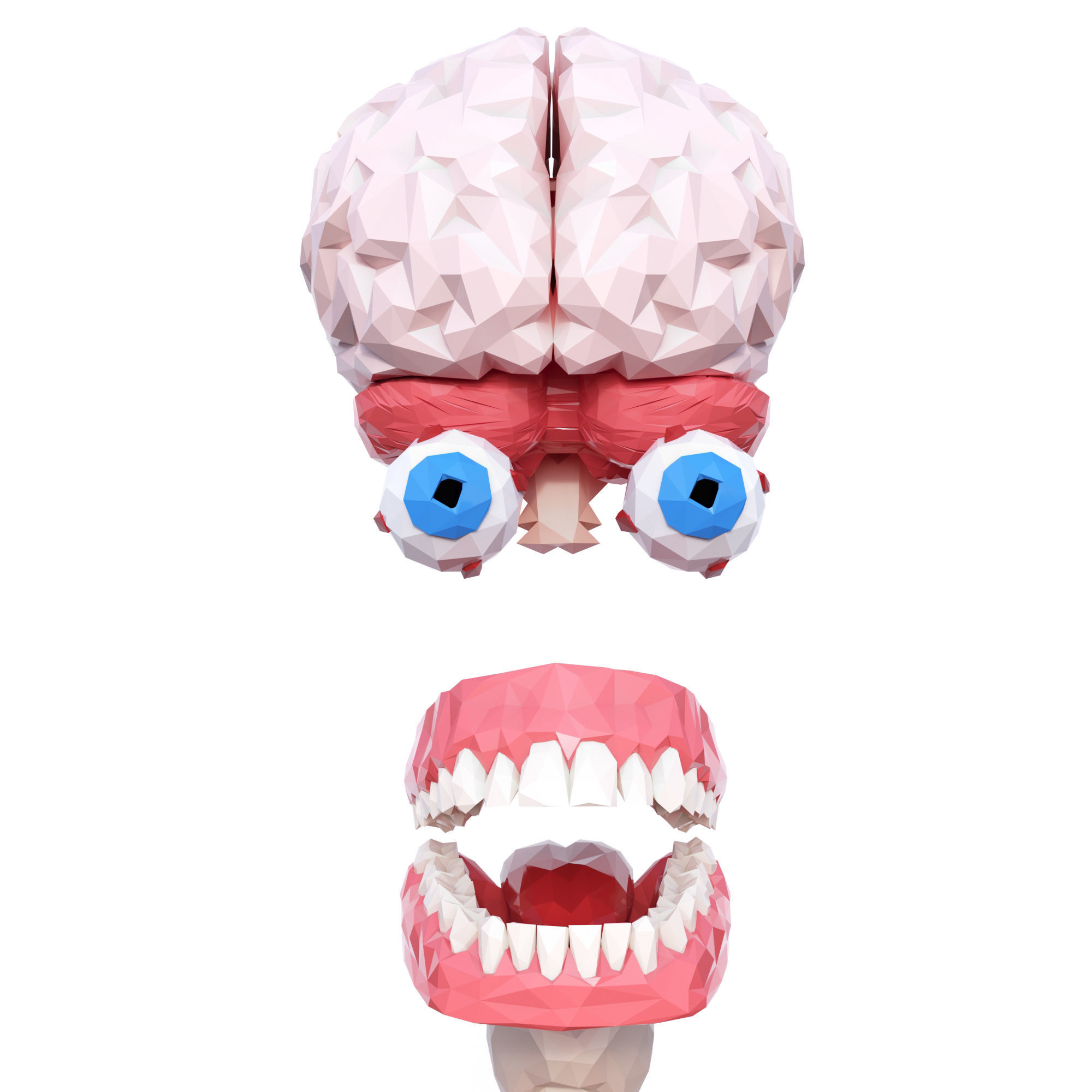 Internal Organs Low Poly Low-poly 3D model_8