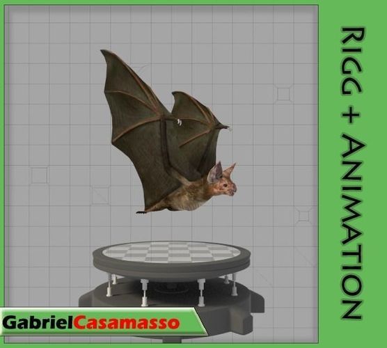 Vampire Bat Low-poly 3D model