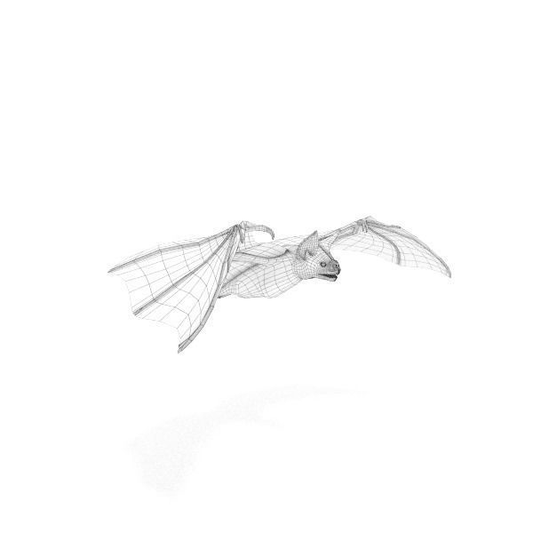 Vampire Bat Low-poly 3D model_5