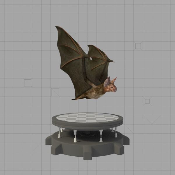 Vampire Bat Low-poly 3D model_6