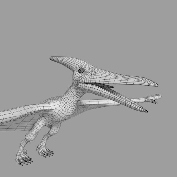 Pterodactylus dinosaurs flying in sky 3D model_2