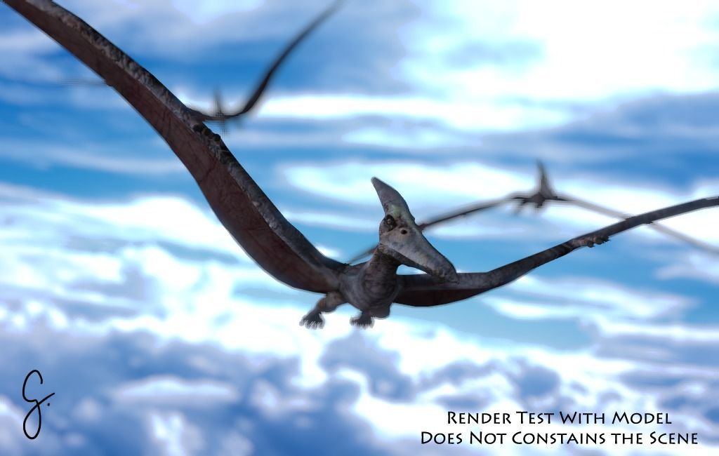 Pterodactylus dinosaurs flying in sky 3D model_7