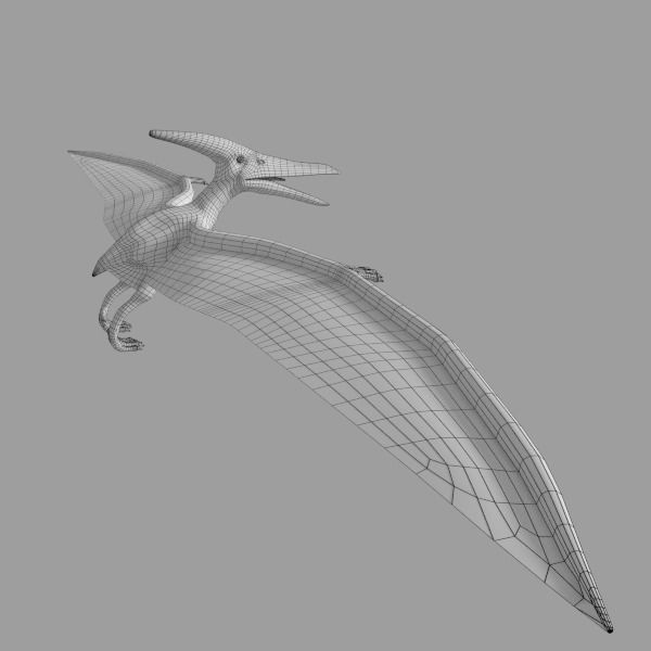 Pterodactylus dinosaurs flying in sky 3D model_4