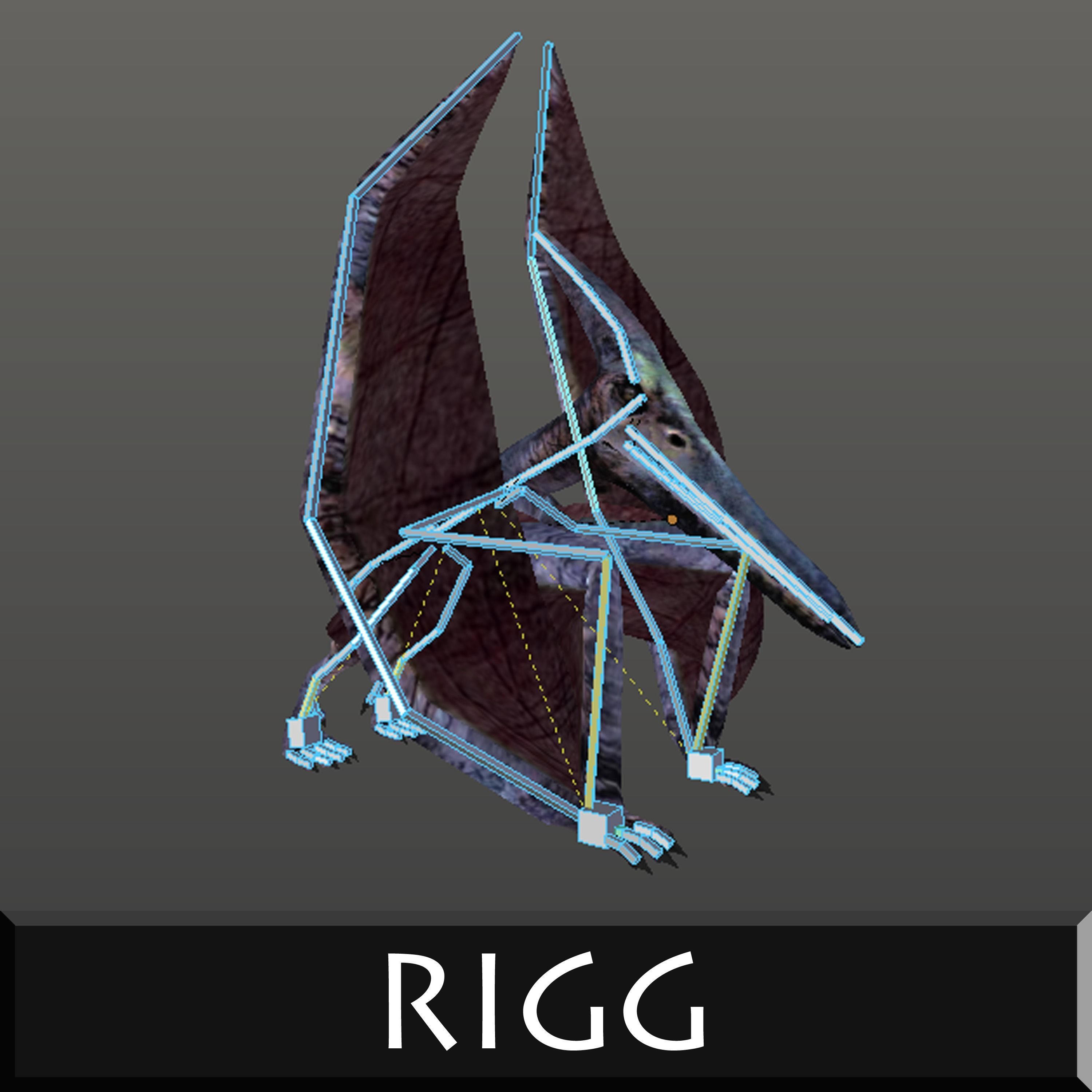 Pterodactylus dinosaurs flying in sky 3D model_5