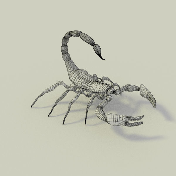 Black Scorpion 3D model_3