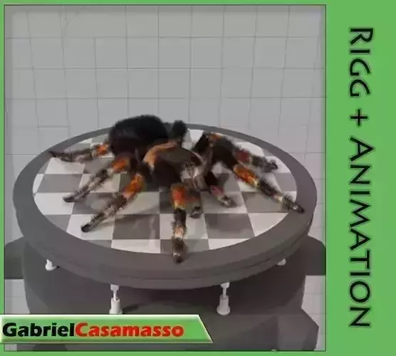 Tarantula spider Low-poly 3D model