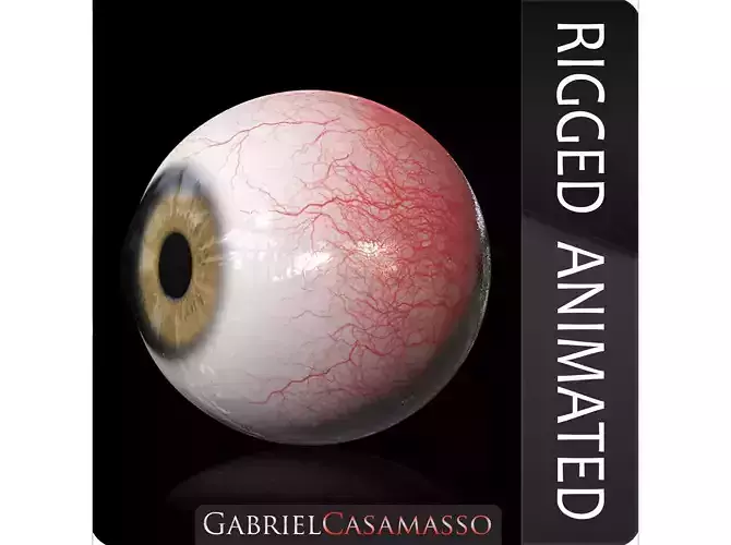 Realistic Pair of Eyes Low-poly 3D model