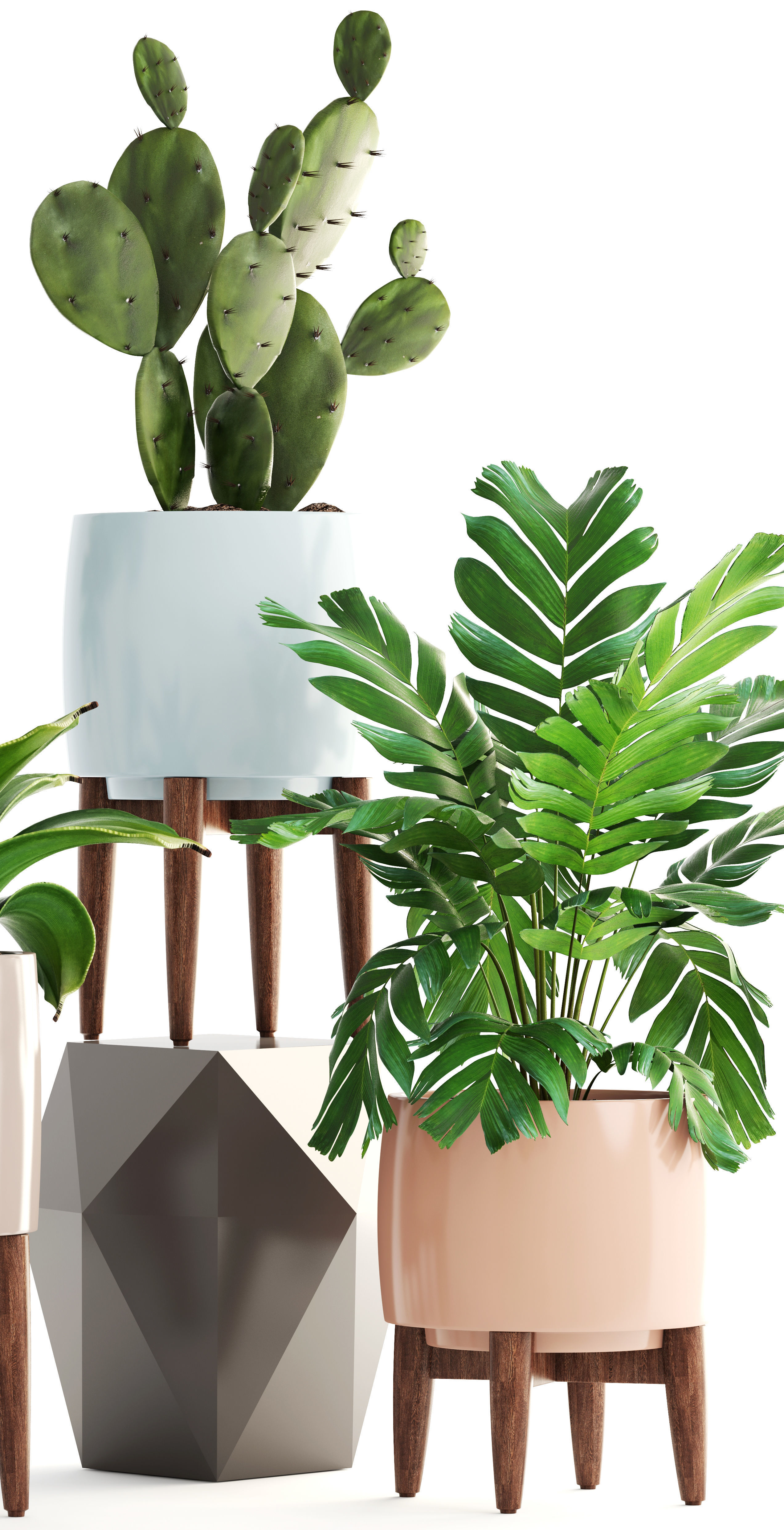 Collection of plants 3D model_5