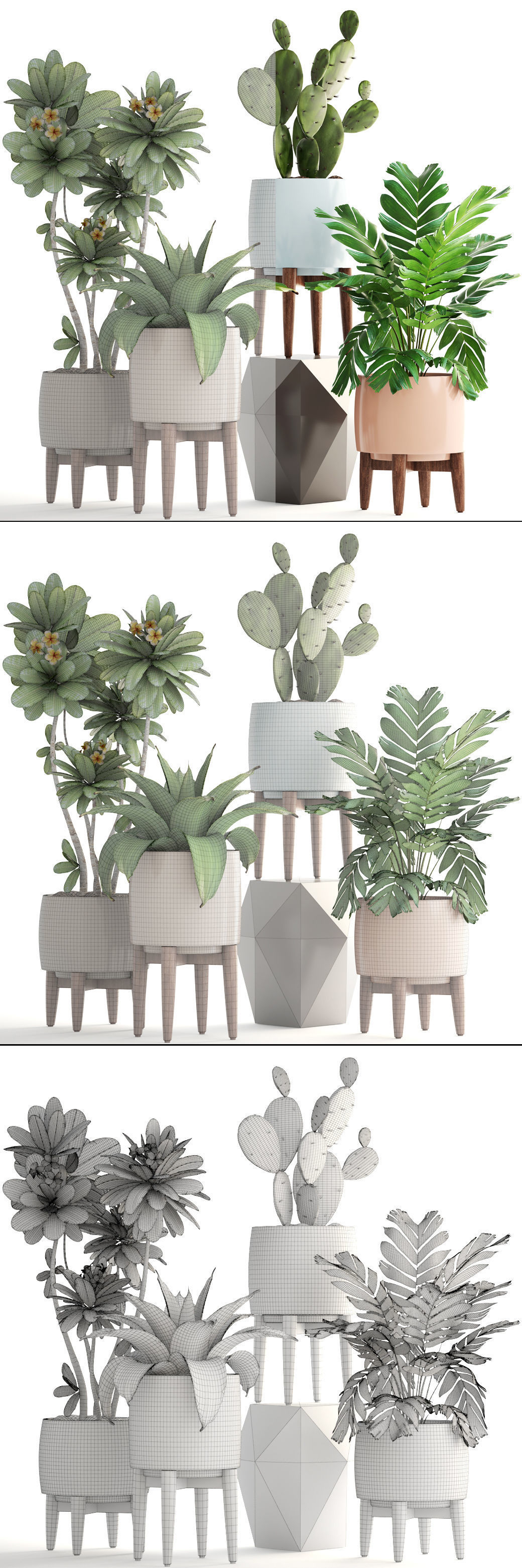 Collection of plants 3D model_8