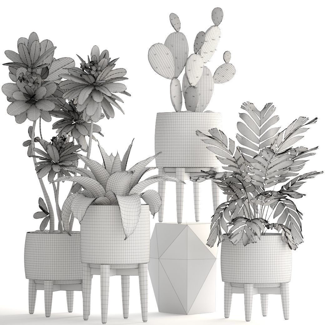 Collection of plants 3D model_6