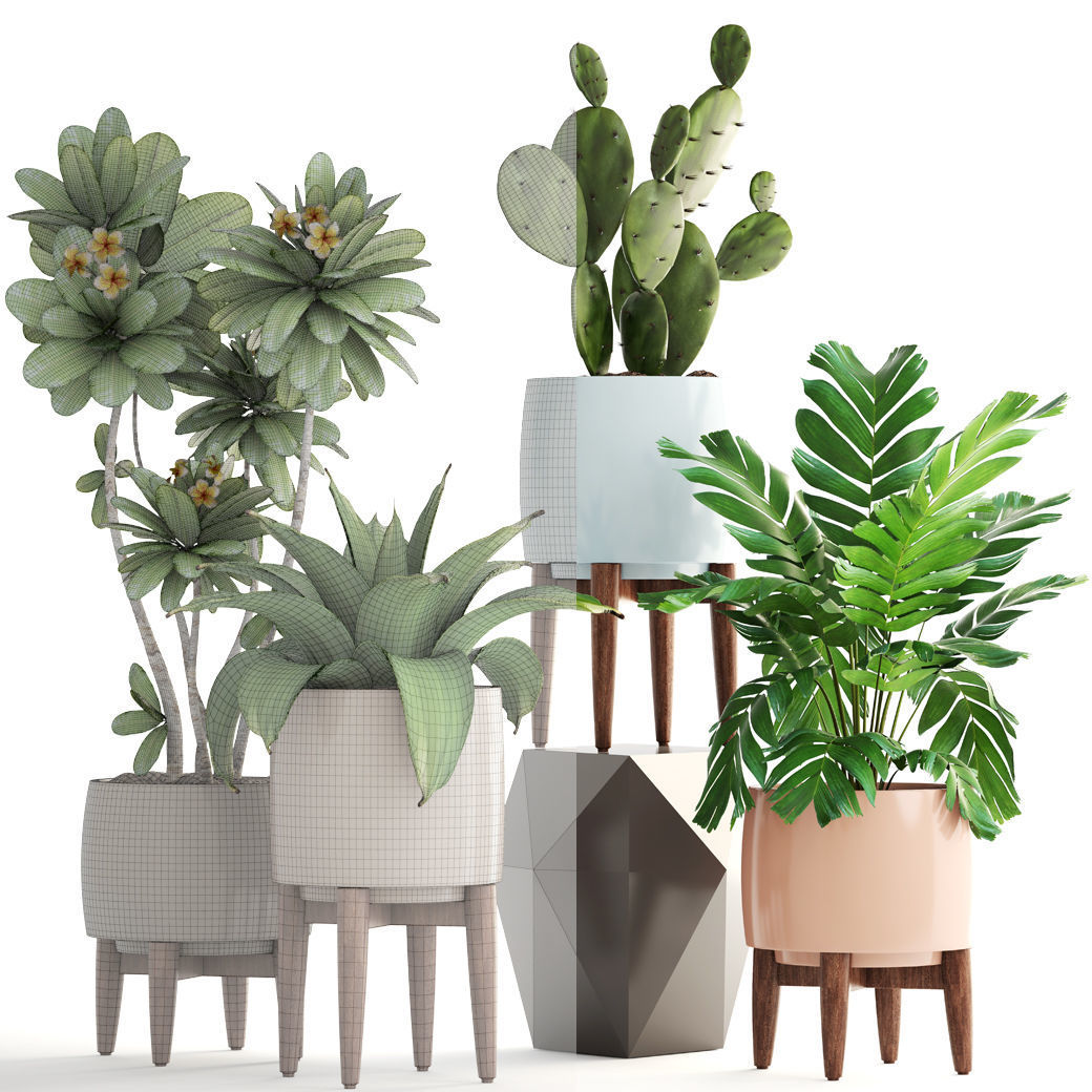 Collection of plants 3D model_2