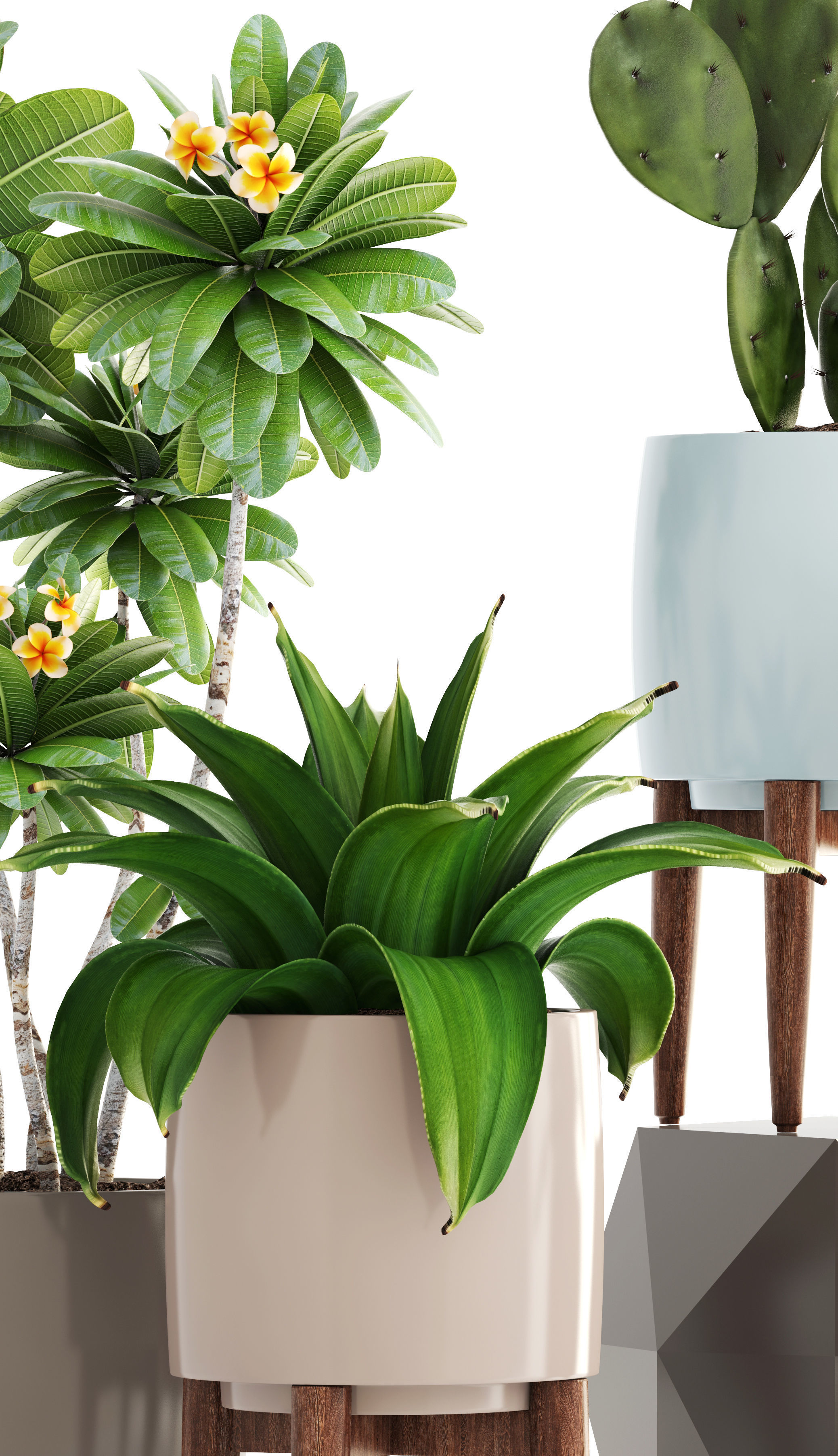 Collection of plants 3D model_1