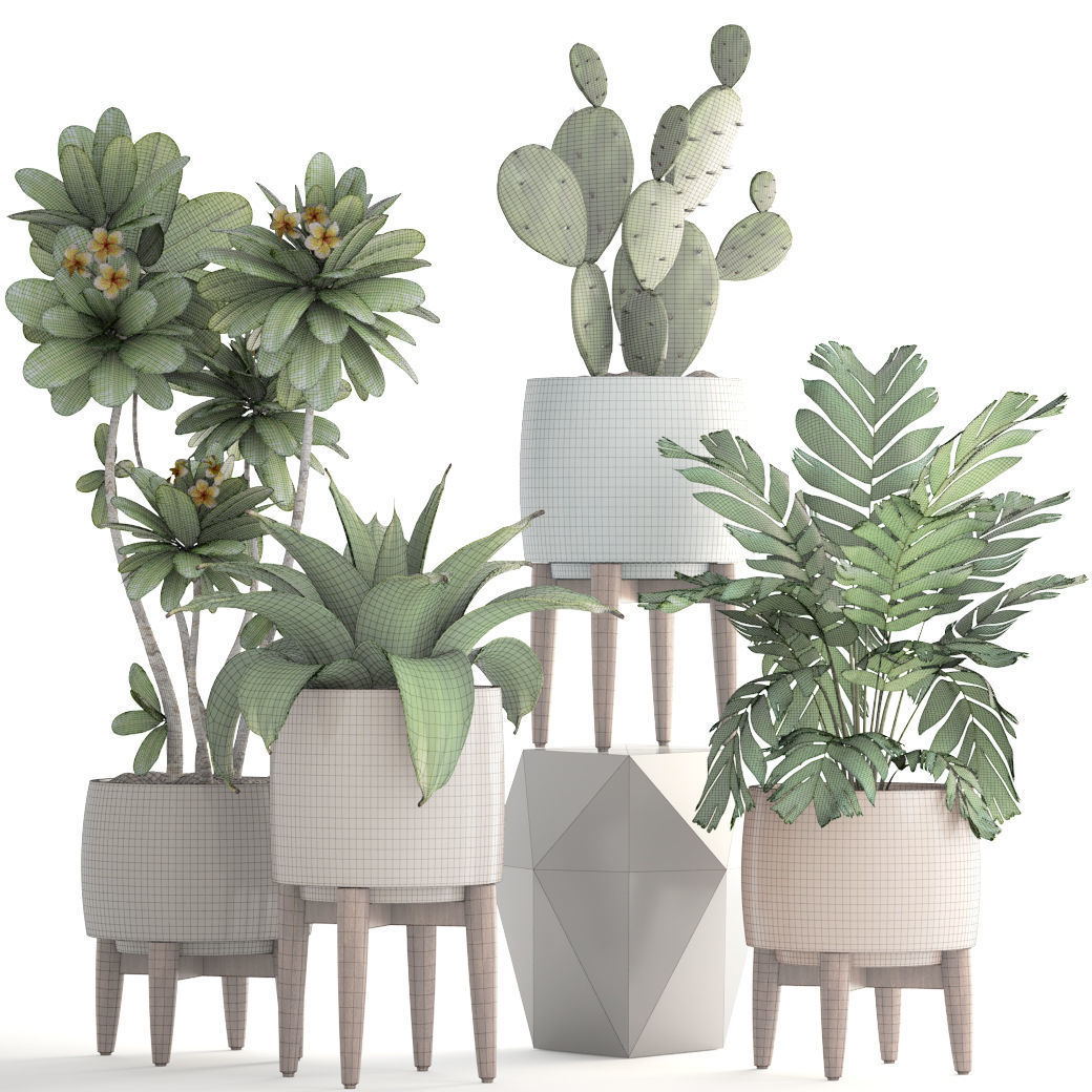 Collection of plants 3D model_4