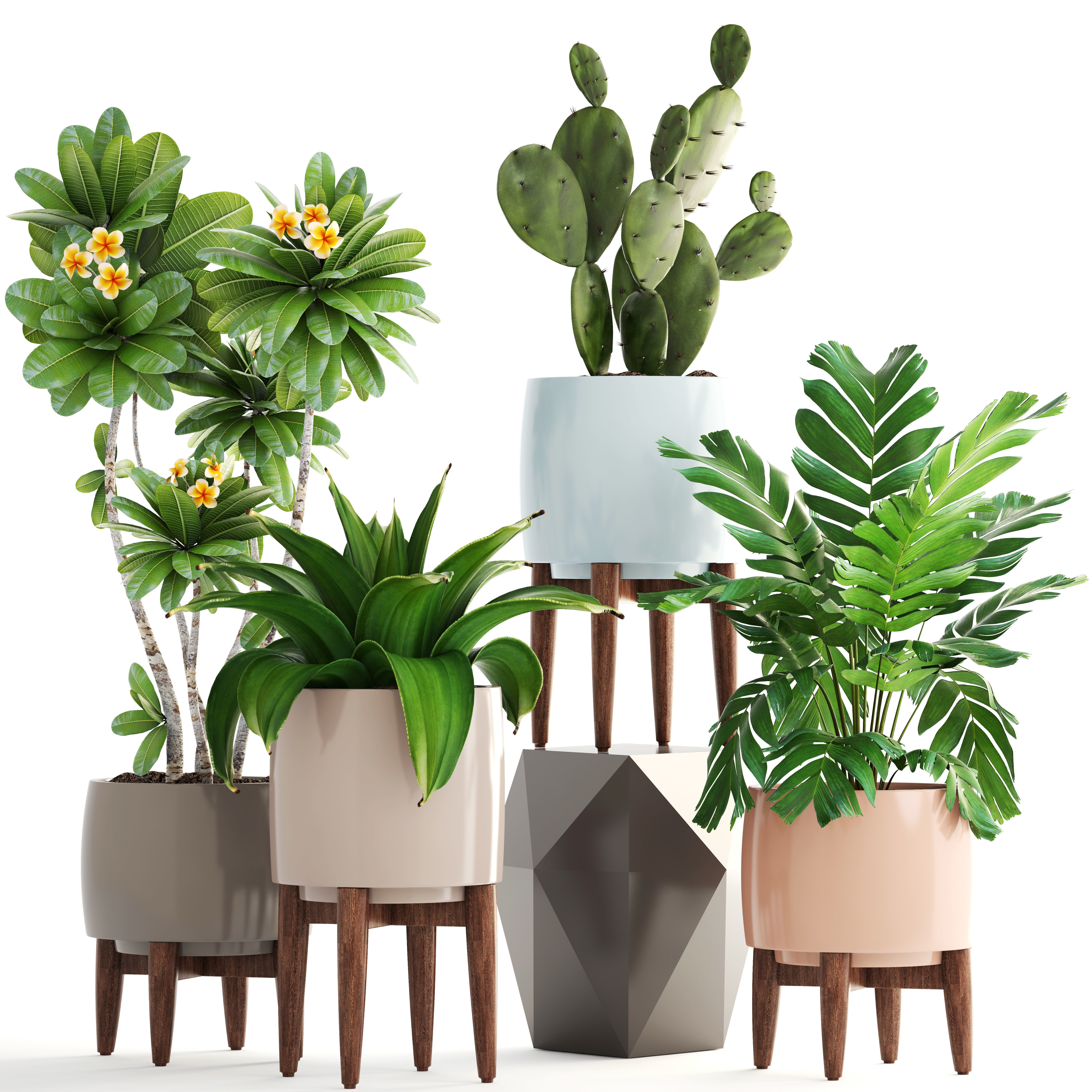 Collection of plants 3D model_9