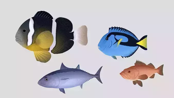 Fish Collection 04