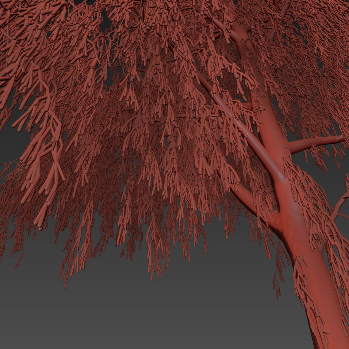 Winter Birch tree 3D model_9