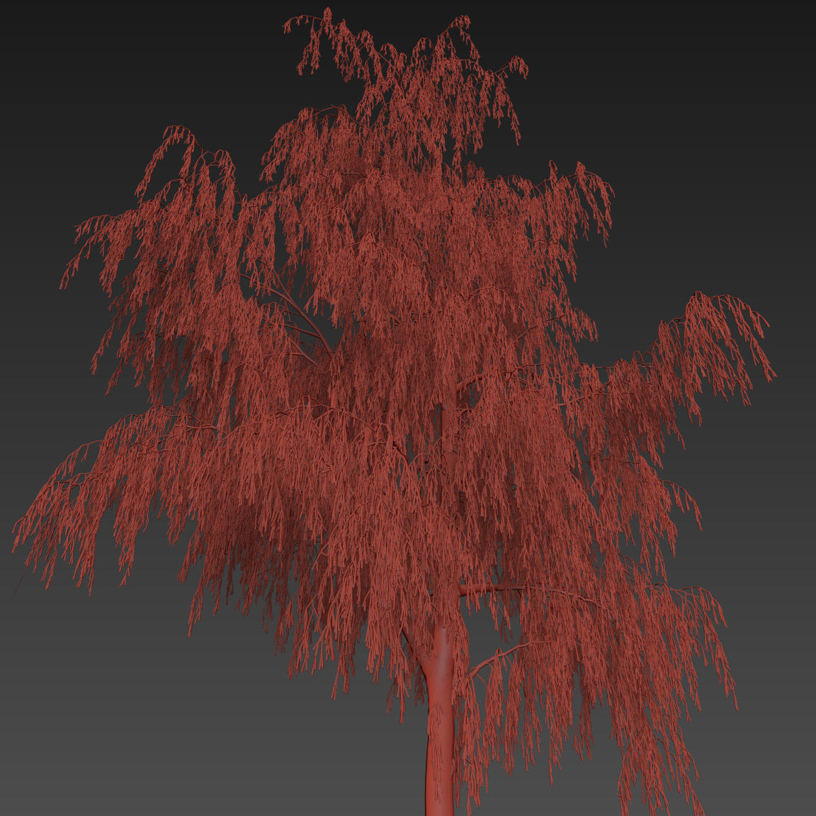 Winter Birch tree 3D model_8