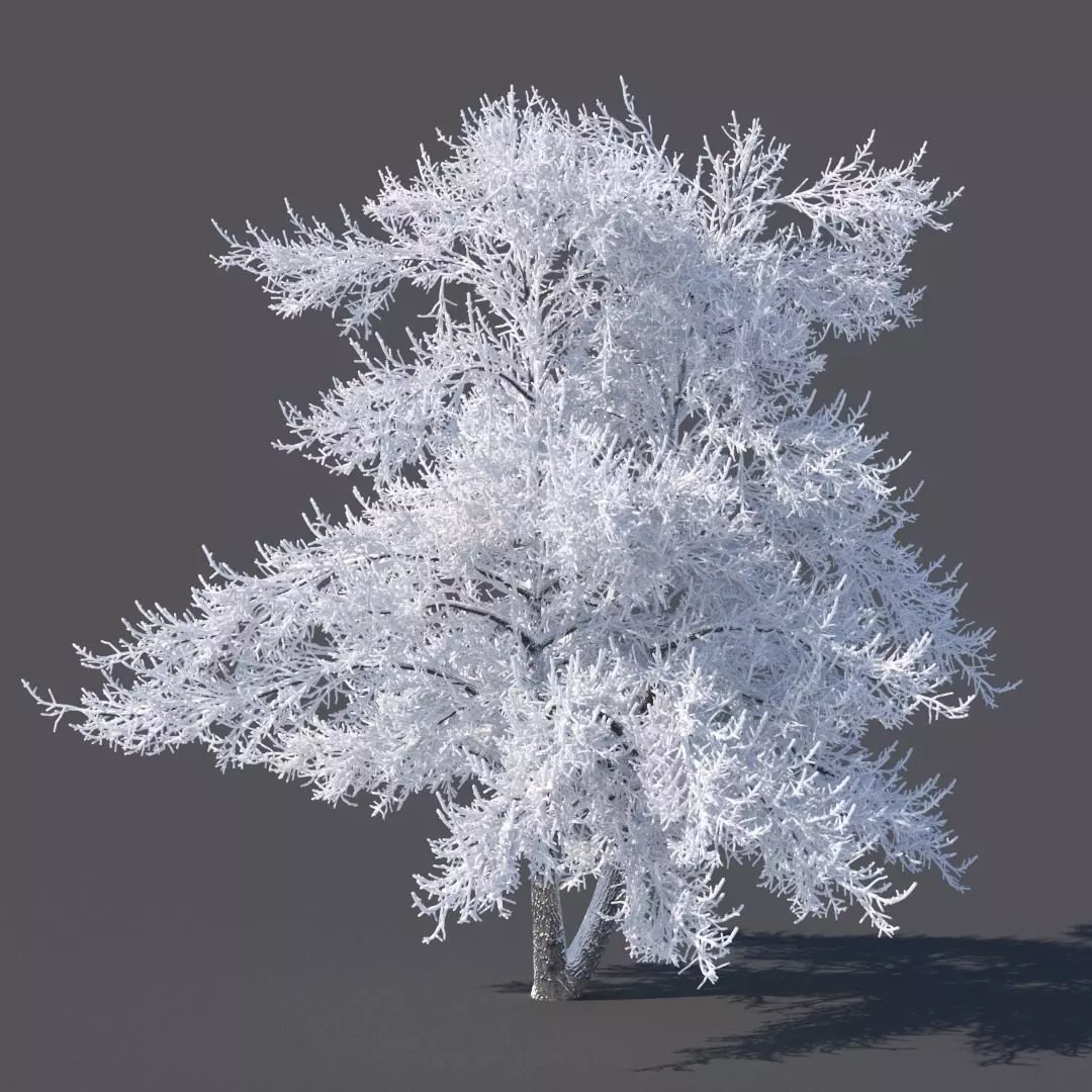 Winter tree 6 meters 3D model