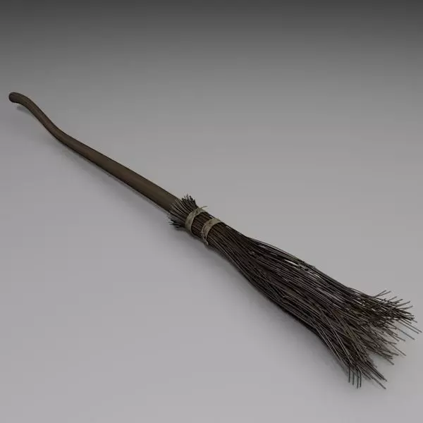 Witch broom 3D model_0