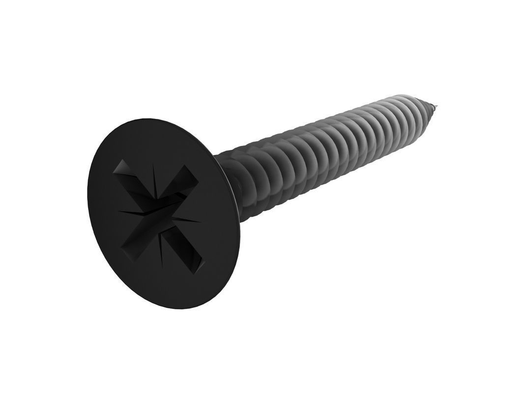 Screw 3D prozidriv 3D print model_1