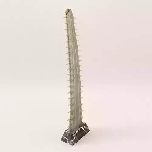 Sculpture Saw fish - Around 1900 3D model